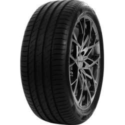 245/35 R20 95 W Delinte Ds2xl