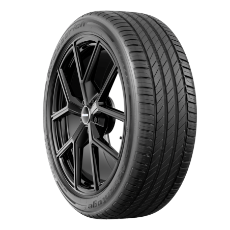 195/55 R16 87 T Bfgoodrich Advantage 2