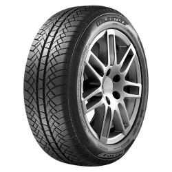 155/65 R14 75 T Milestone Mw01