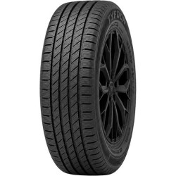 215/65 R16 109 R Tyfoon Wintertr5