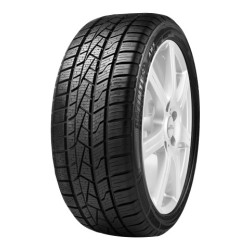 155/80 R13 79 T Delinte Aw5