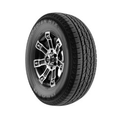 225/65 R17 102 H Nexen Roadhtxrh5