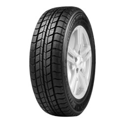 205/65 R16C 107 T Delinte Wd2