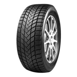 215/50 R17 95 H Mastersteel Wintpl1
