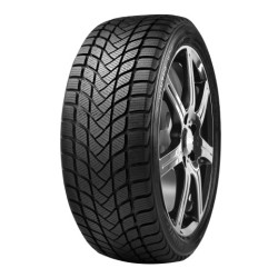 155/65 R14 75 T Delinte Wd6