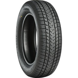 235/60 R20 108 H Gripmax Suregrip Ewinter Xl