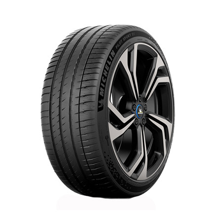 295/30 R21 102 Y Michelin P. Sp. Ev Mo1