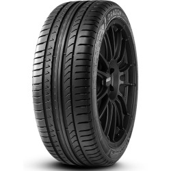 225/45 R19 96 W Pirelli Dragonspxl